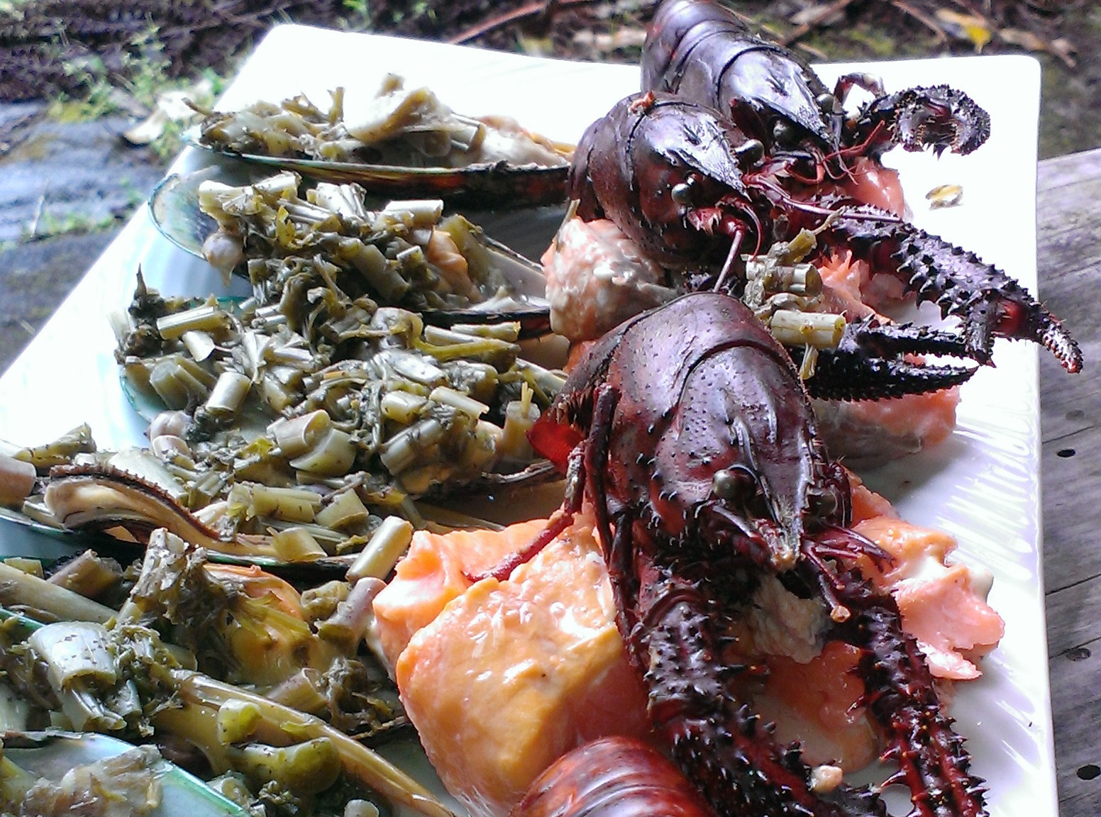 Kai - indigenous Māori food ingredients