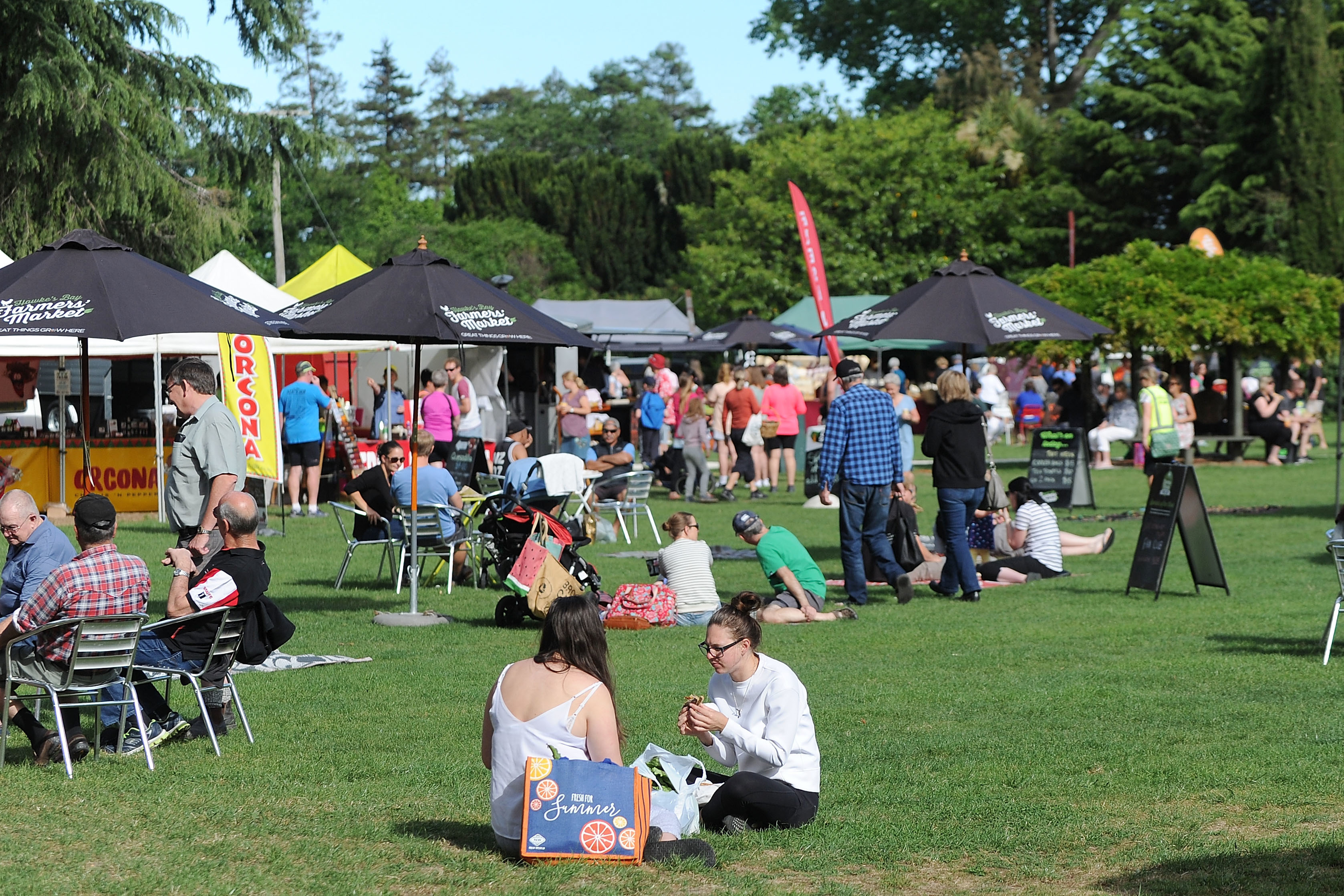 To market, to market - NZ farmers markets