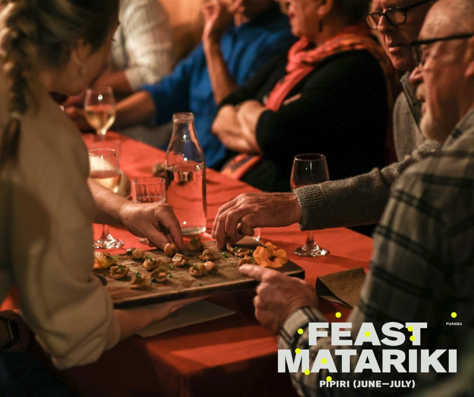 Government Support for Feast Matariki 2022