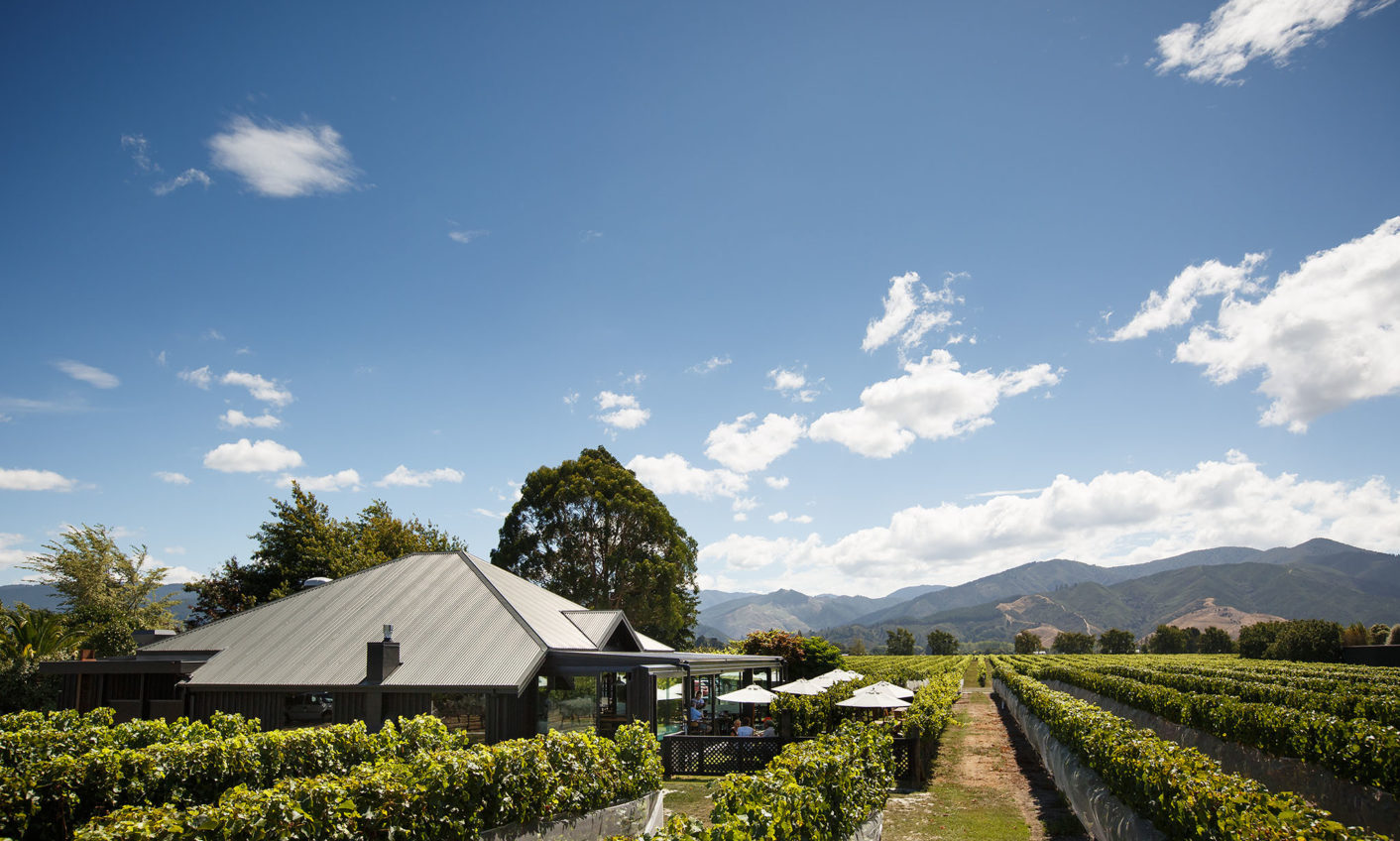 Cellar Door Outside