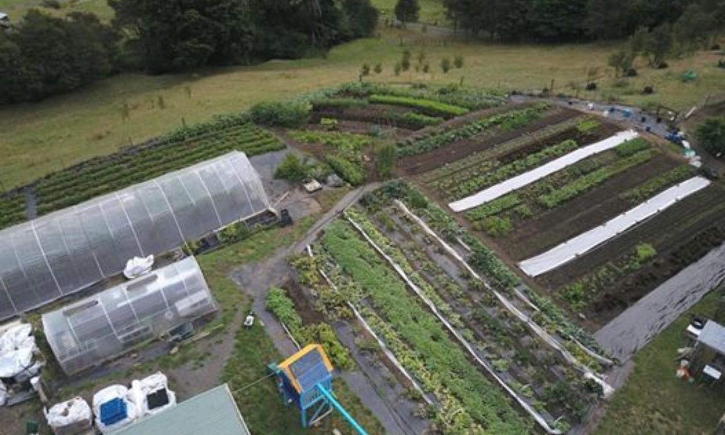 Pakaraka Permaculture Garden Feb 2017