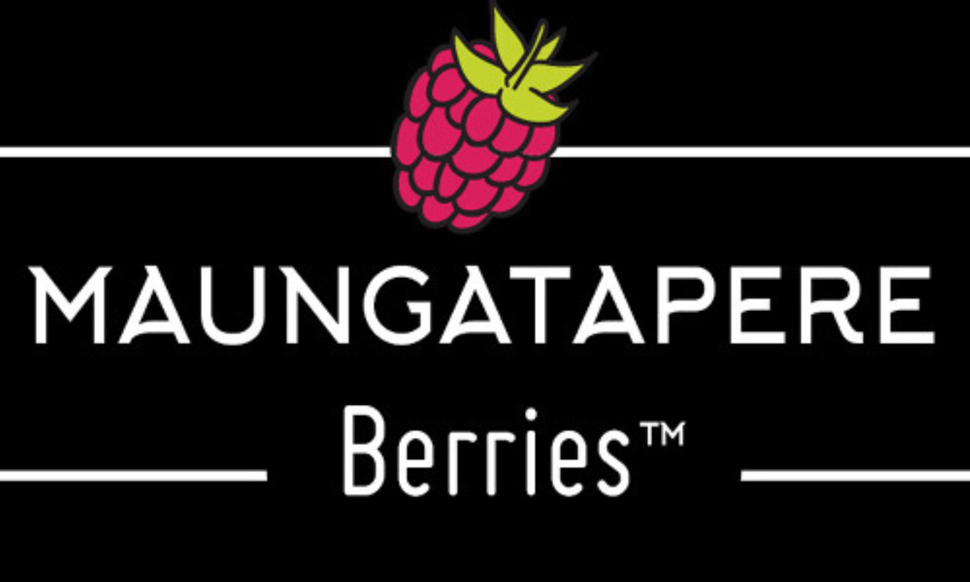 Website Title Mberries
