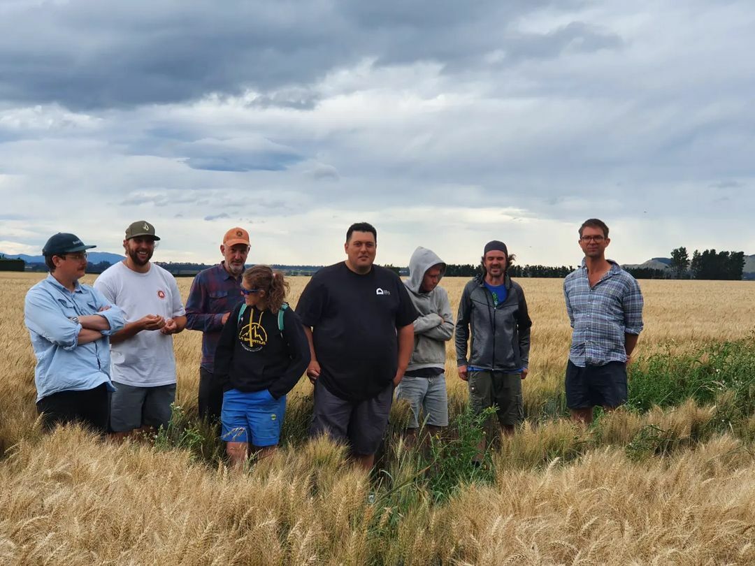 NZ Bakers Day Out in North Canterbury #EatNZGrains